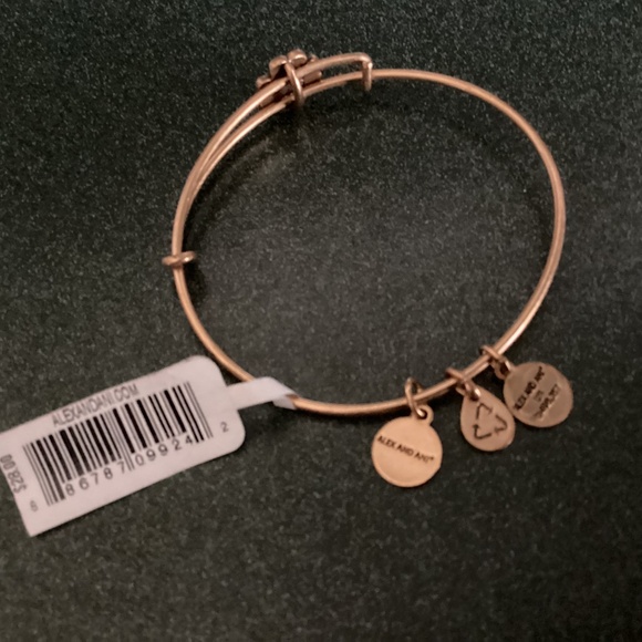 Alex and Ani Expandable Wire Bracelet Four Leaf Clover Slider New with tag - Picture 8 of 10
